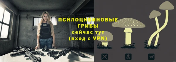 PSILOCYBIN Киреевск