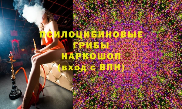 PSILOCYBIN Киреевск
