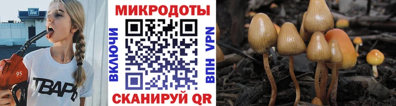 Купить где  Зима  Псилоцибиновые грибы прущие грибы 
